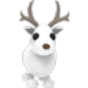 Arctic Reindeer